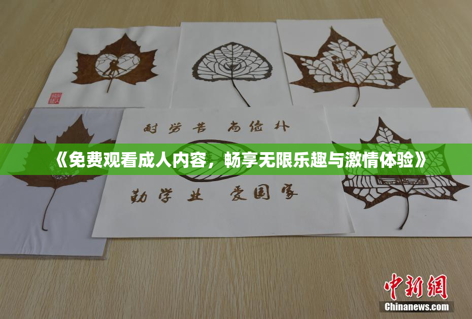 《免费观看成人内容，畅享无限乐趣与激情体验》