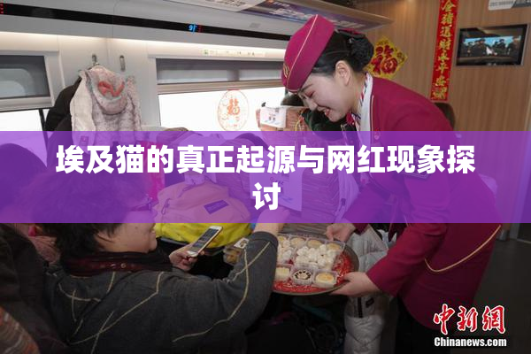 埃及猫的真正起源与网红现象探讨
