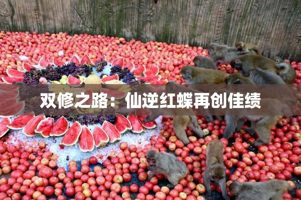 双修之路：仙逆红蝶再创佳绩