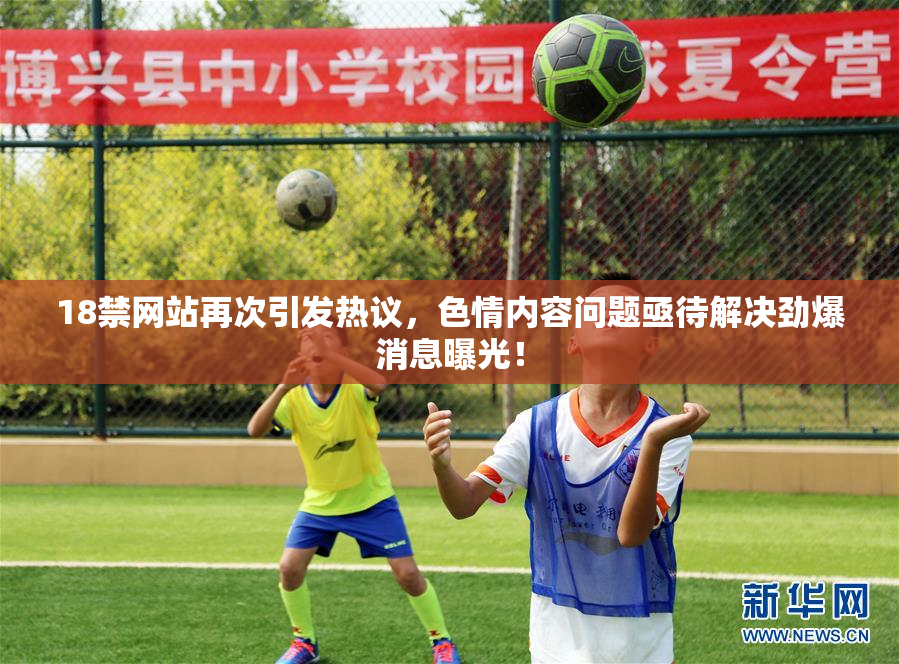 18禁网站再次引发热议，色情内容问题亟待解决劲爆消息曝光！