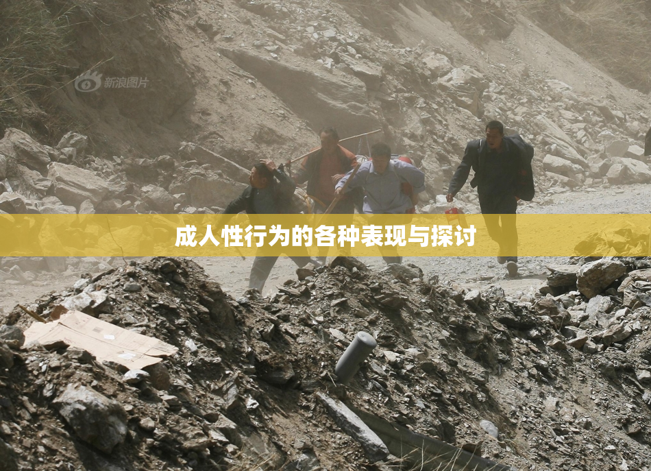 成人性行为的各种表现与探讨