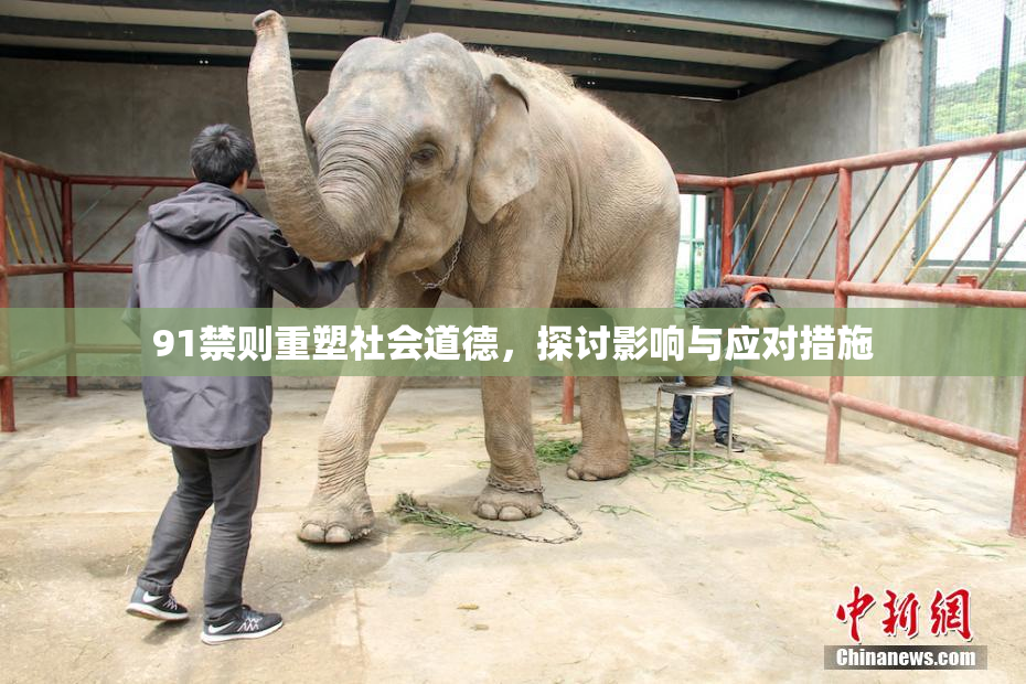 91禁则重塑社会道德，探讨影响与应对措施