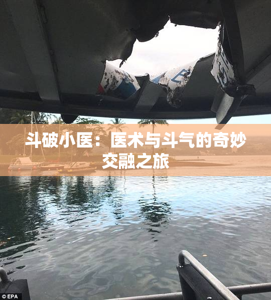 斗破小医：医术与斗气的奇妙交融之旅