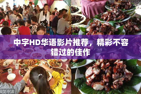 中字HD华语影片推荐，精彩不容错过的佳作