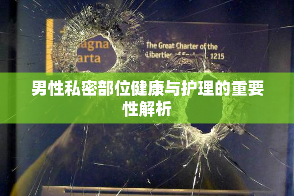 男性私密部位健康与护理的重要性解析