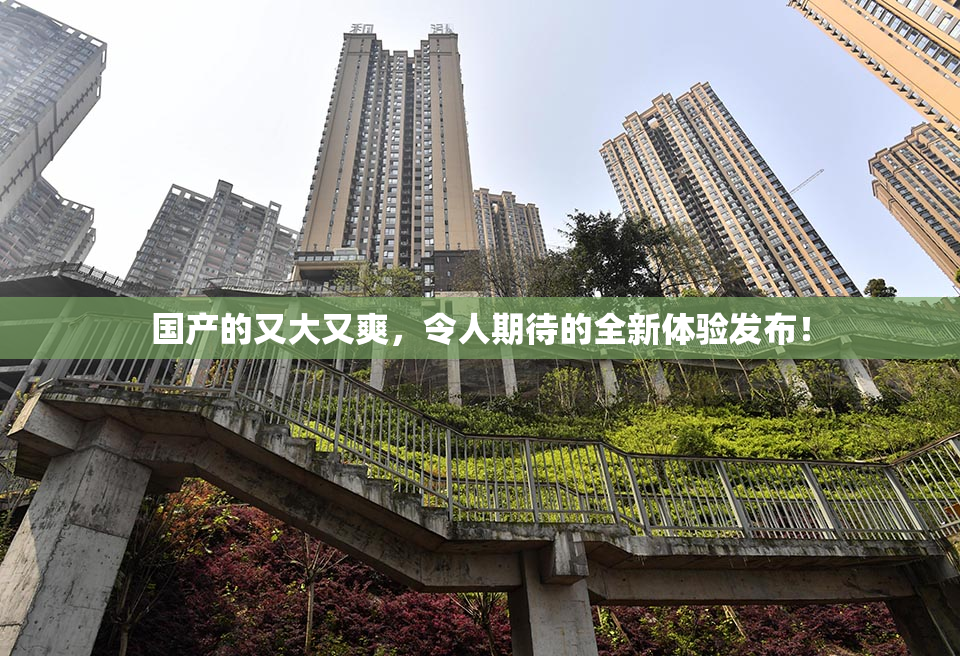 国产的又大又爽，令人期待的全新体验发布！