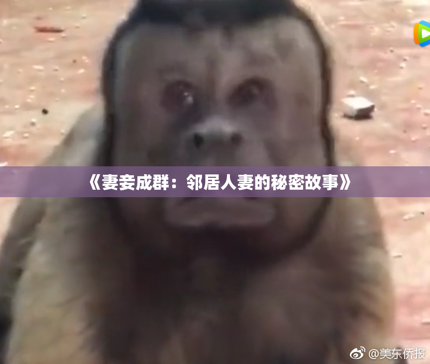 《妻妾成群：邻居人妻的秘密故事》