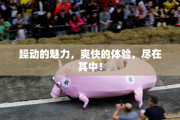 躁动的魅力，爽快的体验，尽在其中！