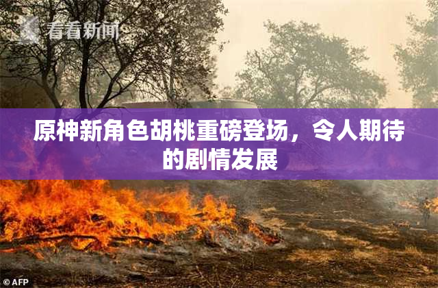 原神新角色胡桃重磅登场，令人期待的剧情发展