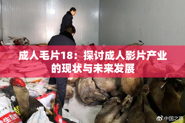 成人毛片18：探讨成人影片产业的现状与未来发展