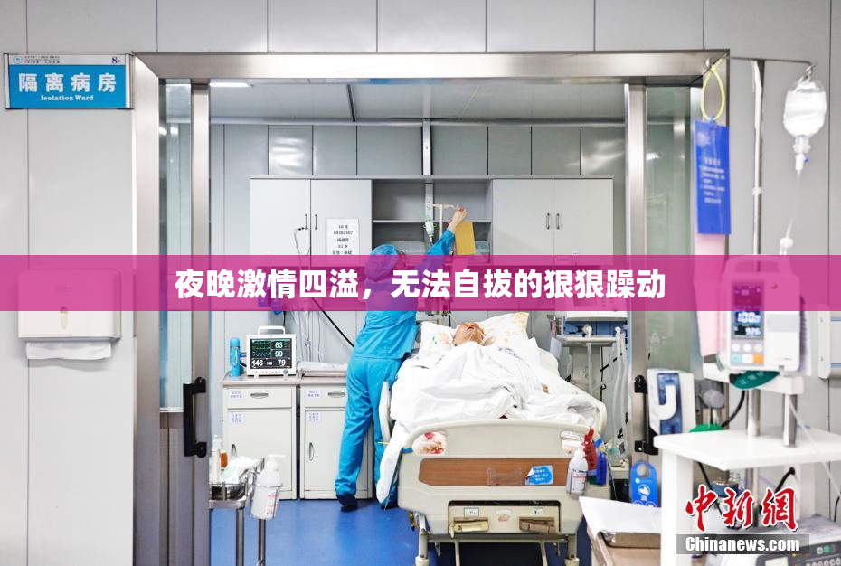 夜晚激情四溢，无法自拔的狠狠躁动