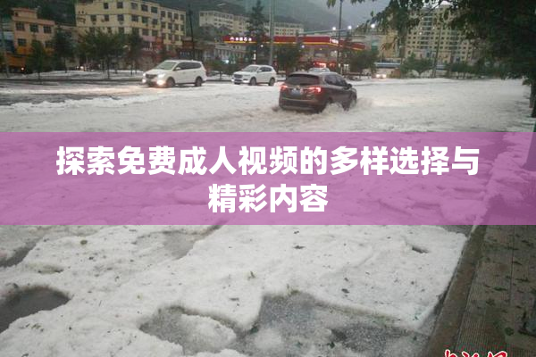 探索免费成人视频的多样选择与精彩内容