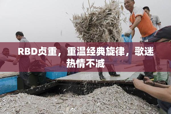 RBD贞重，重温经典旋律，歌迷热情不减