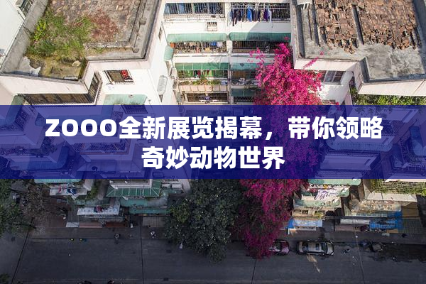 ZOOO全新展览揭幕，带你领略奇妙动物世界
