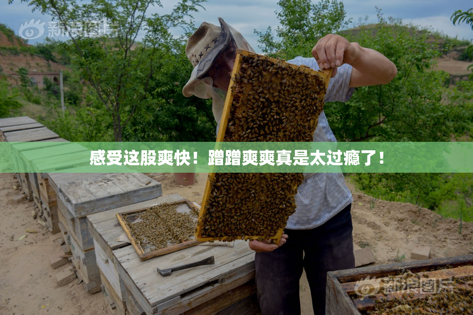 感受这股爽快！蹭蹭爽爽真是太过瘾了！