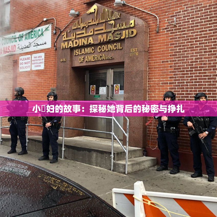 小婬妇的故事：探秘她背后的秘密与挣扎