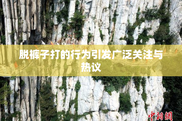 脱裤子打的行为引发广泛关注与热议