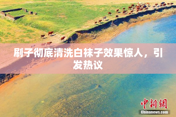 刷子彻底清洗白袜子效果惊人，引发热议