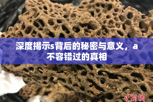 深度揭示s背后的秘密与意义，a不容错过的真相