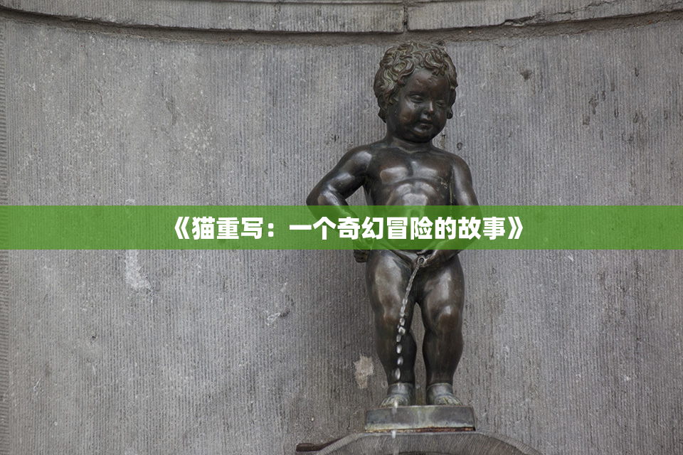 《猫重写：一个奇幻冒险的故事》