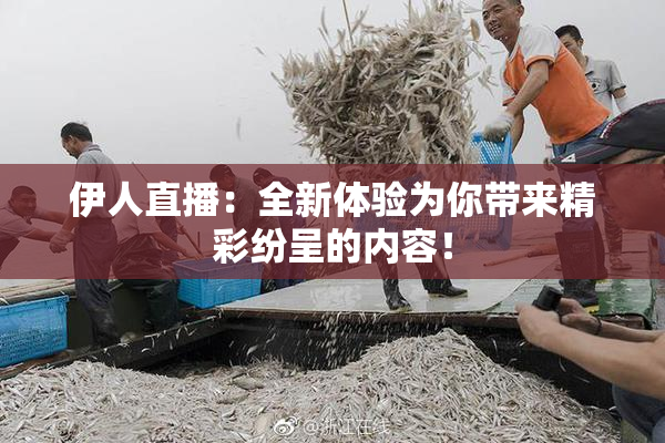 伊人直播：全新体验为你带来精彩纷呈的内容！
