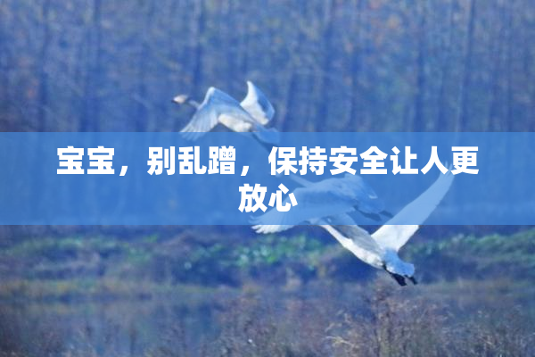 宝宝，别乱蹭，保持安全让人更放心