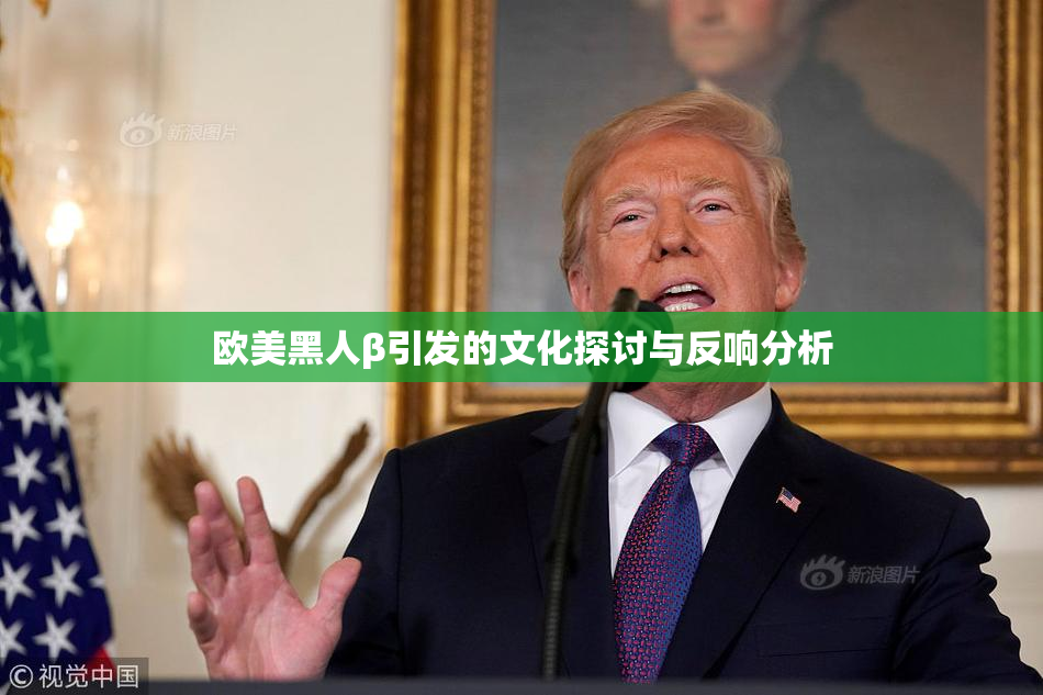欧美黑人β引发的文化探讨与反响分析