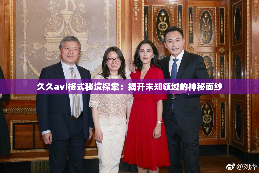 久久avi格式秘境探索：揭开未知领域的神秘面纱