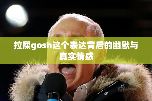 拉屎gosh这个表达背后的幽默与真实情感
