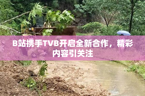 B站携手TVB开启全新合作，精彩内容引关注
