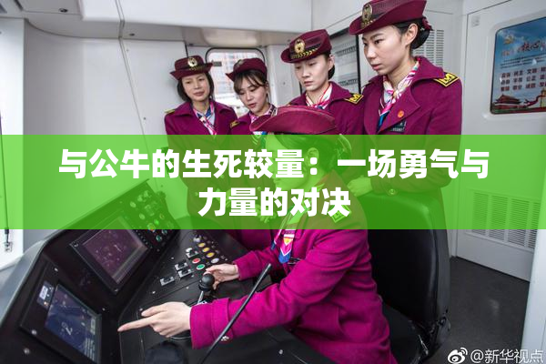 与公牛的生死较量：一场勇气与力量的对决