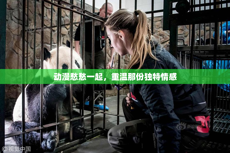 动漫愁愁一起，重温那份独特情感