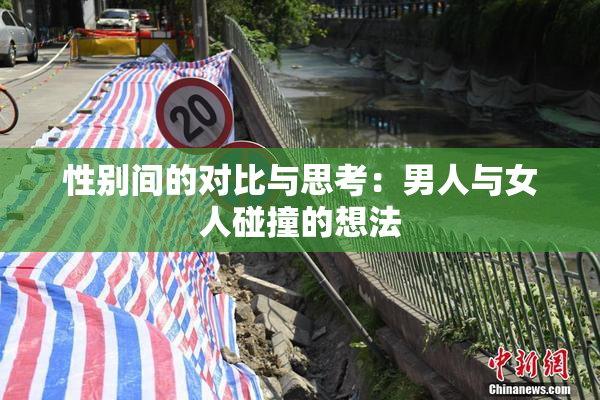 性别间的对比与思考：男人与女人碰撞的想法