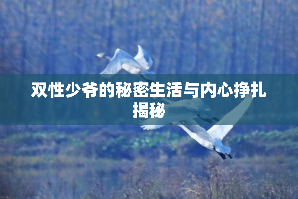 双性少爷的秘密生活与内心挣扎揭秘