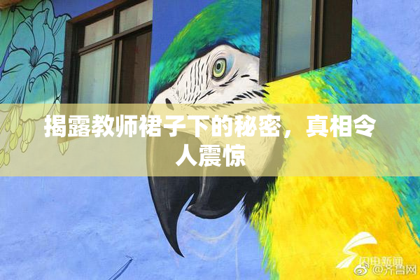 揭露教师裙子下的秘密，真相令人震惊