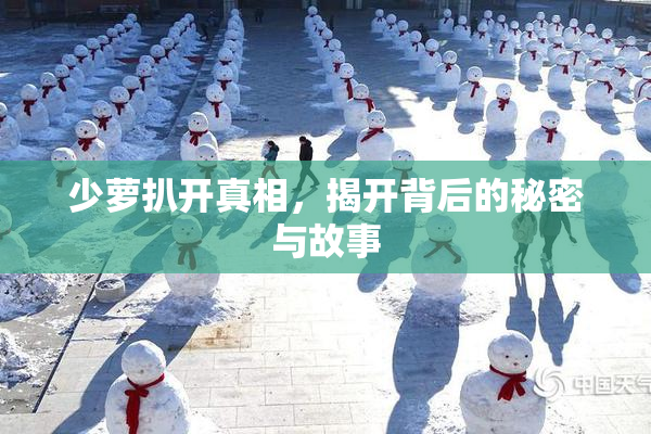 少萝扒开真相，揭开背后的秘密与故事