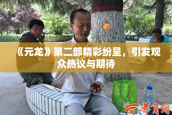《元龙》第二部精彩纷呈，引发观众热议与期待