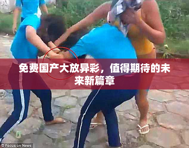 免费国产大放异彩，值得期待的未来新篇章