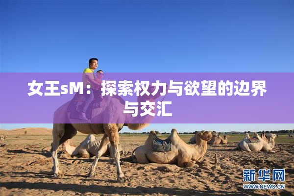 女王sM：探索权力与欲望的边界与交汇