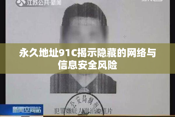 永久地址91C揭示隐藏的网络与信息安全风险
