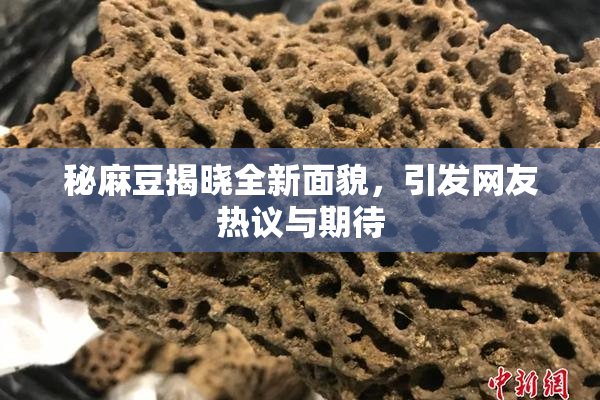 秘麻豆揭晓全新面貌，引发网友热议与期待