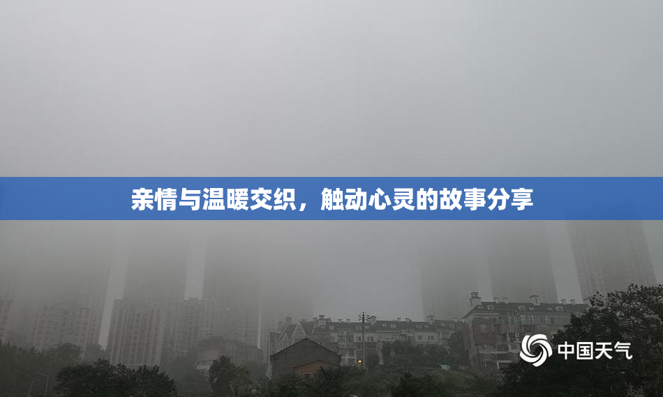 亲情与温暖交织，触动心灵的故事分享