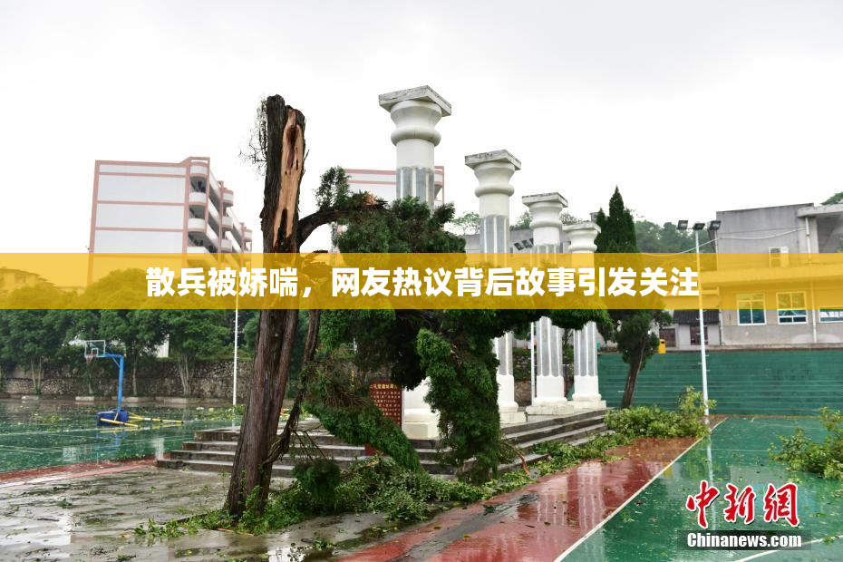 散兵被娇喘，网友热议背后故事引发关注
