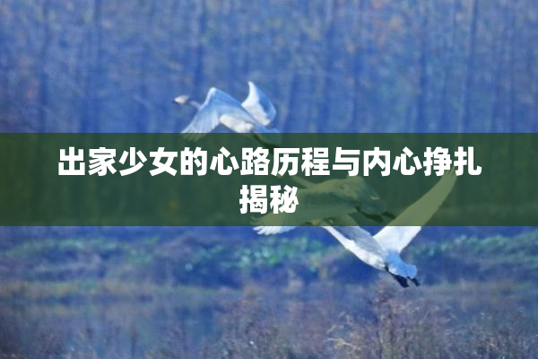 出家少女的心路历程与内心挣扎揭秘