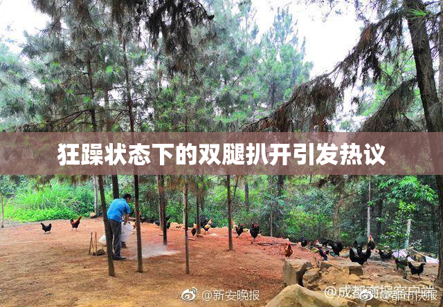 狂躁状态下的双腿扒开引发热议