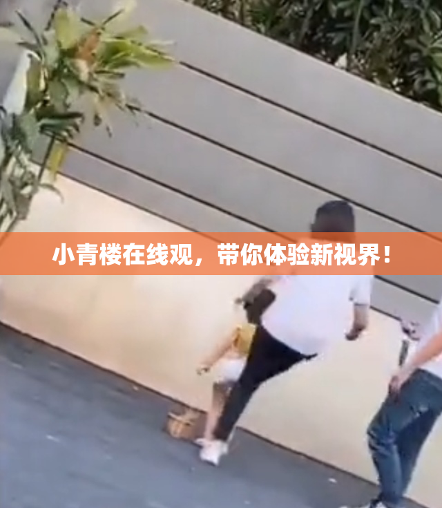 小青楼在线观，带你体验新视界！