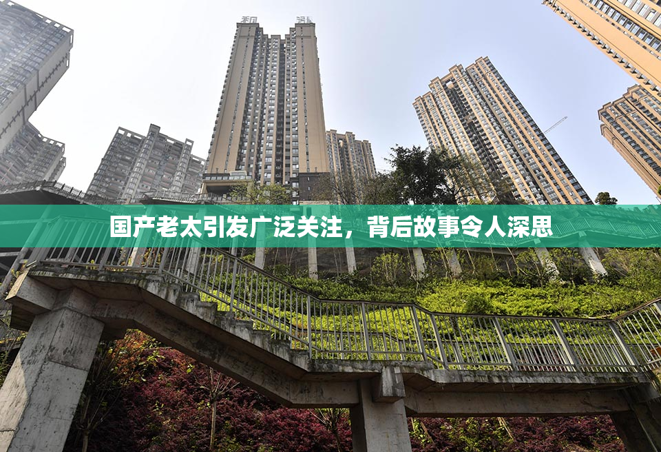 国产老太引发广泛关注，背后故事令人深思