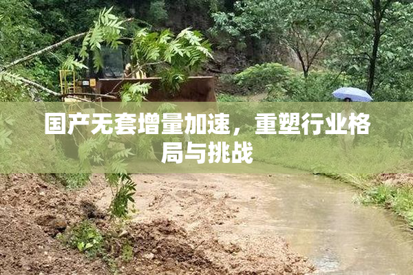 国产无套增量加速，重塑行业格局与挑战