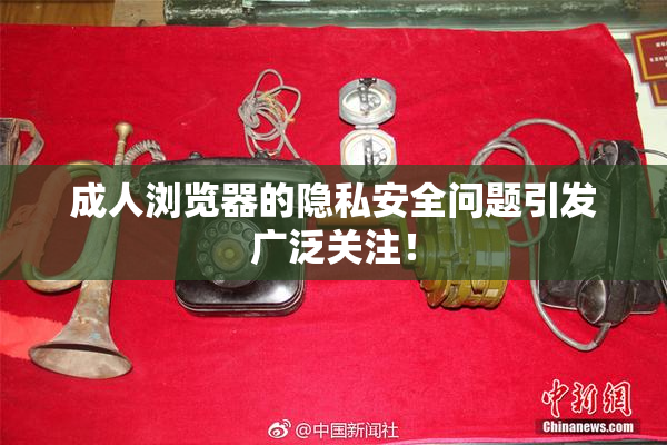 成人浏览器的隐私安全问题引发广泛关注！
