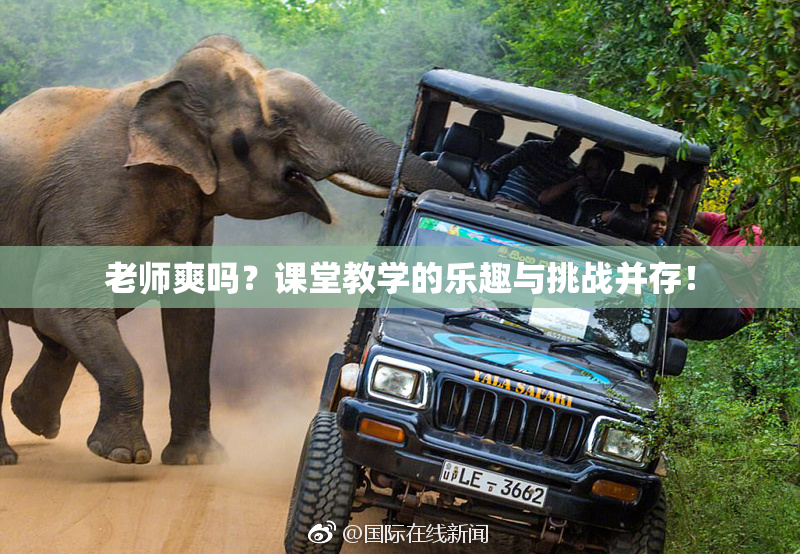 老师爽吗？课堂教学的乐趣与挑战并存！